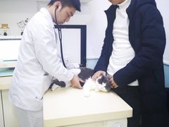 -全心全意连锁动物医院(加州店)