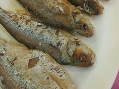 -湛江渔港·大排档(乐园路总店)