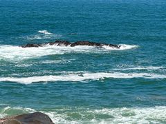 -广东惠东海龟国家级自然保护区