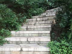 -北京张裕爱斐堡酒庄