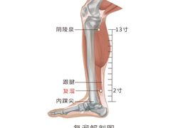 -裕和堂中医推拿艾灸(太古汇臻品店)