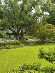 -丁香花园申粤轩·宴会厅