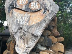 -邦邦岛