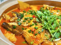 -魏铭鱼头捞饭(晋阳路店)