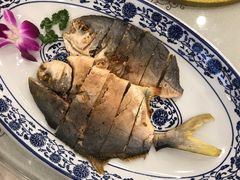 干煎金仓鱼-纳福苑(亮庆餐饮分店)
