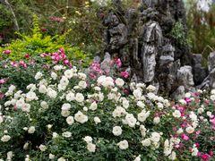 -人民公园(罗湖区)