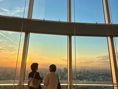 -六本木新城展望台(东京城市景观)