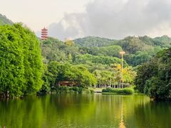 -深圳仙湖植物园