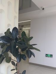 -魔型社烫染店