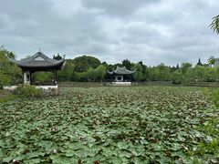 -无锡蠡湖国家湿地公园-蠡园