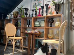 -自由生长植物工作室(深港花卉中心店)