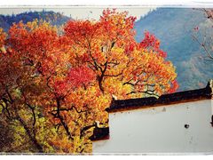 -塔川景区