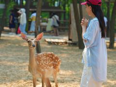 -南戴河国际娱乐中心