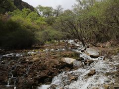 -叠溪松坪沟景区