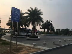 -宝安西湾红树林湿地公园