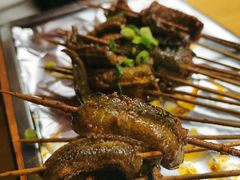 鳝鱼-晓靖轩烧烤(沙河风情店)