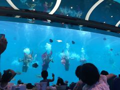 -瑞德姆美人鱼海底演艺主题餐厅(亚龙湾店)