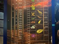 -河南自然博物馆