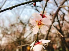 -蜀冈西峰生态公园