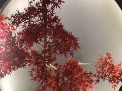 -金狮麟·新豫菜(杏石口路店)