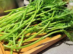 蒿子杆-蝎王府羊蝎子(西直门店)