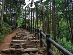 -冶父山国家森林公园