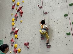 -绿壁虎攀岩基地(Tcar店)