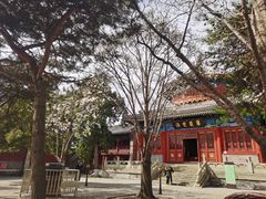-大钟寺古钟博物馆