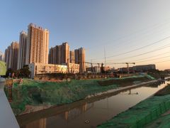 -福田红树林生态公园