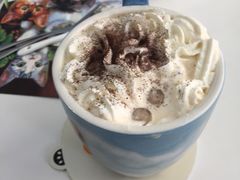 -喵的天空名猫咖啡馆·撸猫·猫舍·用品