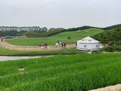 -迪茵湖田家舍生态农场