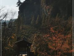 -祁门牯牛降观音堂风景区