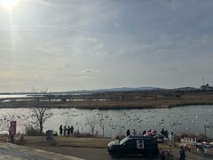 -烟墩角天鹅湖