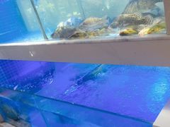 -王捌小院(红花坡店)