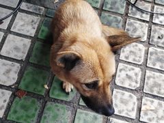 -飞琼阁中式面点(兴贤路店)