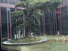 -上海崇明金茂凯悦酒店