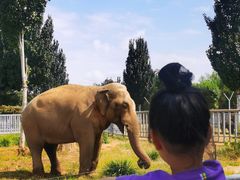 -石家庄市动物园