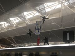 -中部国际机场