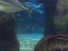 -台州海洋世界