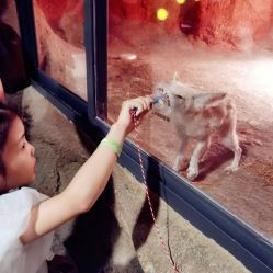 -酷嗒动物文化乐园(cutezoo西溪乐天城店)