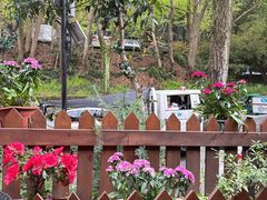 -国生茶庄·地道农家菜团建活动