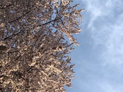 -木塔寺遗址生态公园