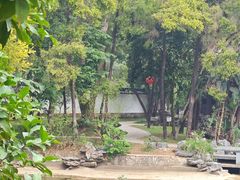 -深圳国际园林花卉博览园