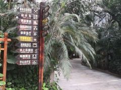-龙达温泉生态城