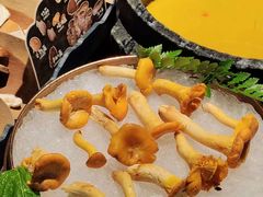 -芸山季·云南野生菌火锅(人民广场来福士店)