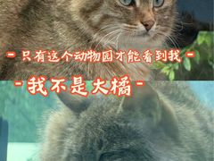 -青藏高原野生动物园