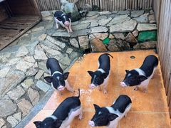 -HERRE·FARM 赫尔露营农场·团建聚会包场