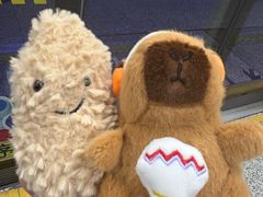 -上海跨国采购会展中心