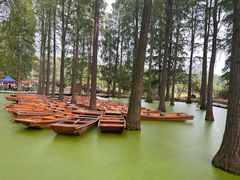 -渌洋湖湿地公园