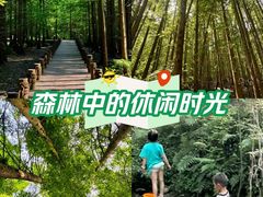 -桤木河湿地公园